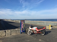 ……快感っ