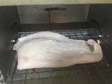 アオリイカをただ単に焼いただけでもうまい！ 2018/09/16 10:57:41
