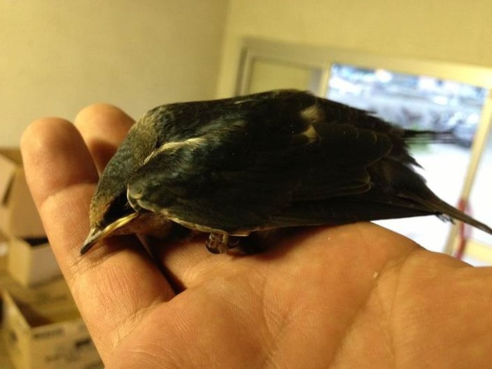 近所の離島で真面目にエギング