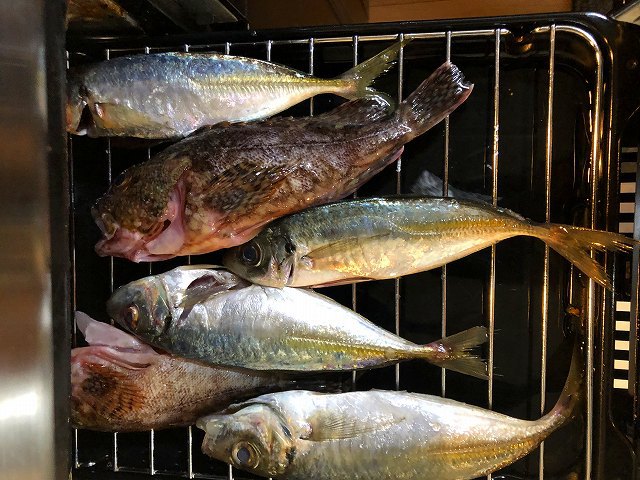 ジビエやら釣った魚やら気ままな1週間