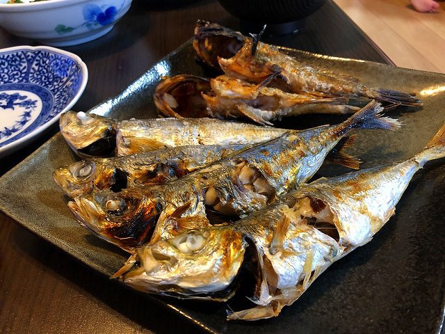 ジビエやら釣った魚やら気ままな1週間