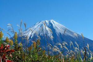 ペンギン村オートキャンプ場に行ってきました（爆）