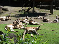 ZooにきたZOO(^.^)b 2010/09/25 11:55:43