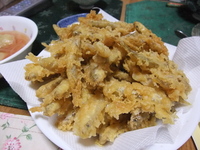 桧原湖ワカサギ釣り（屋形）