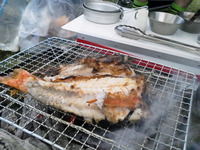 急遽変更し能登島へキャンツー！！