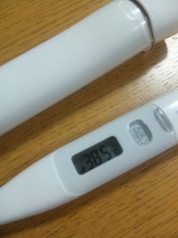 げ・・・ 2010/02/09 05:53:20