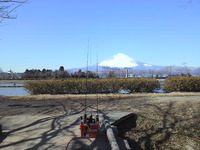 寒い東山湖釣行