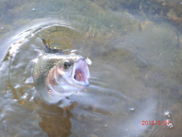 どうしようかな？すそのFP釣行