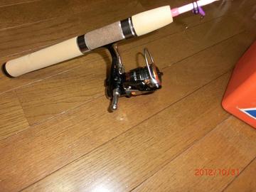 いろいろ購入