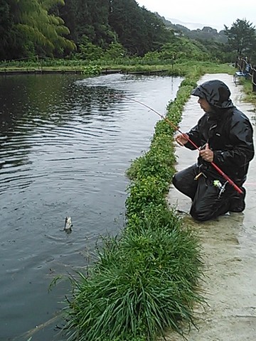 雨の足柄CA