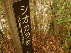 2010 歩き納め・大台ケ原ハイキング