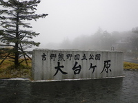 2010 歩き納め・大台ケ原ハイキング