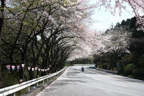 キャンプツーリングレポート in 道志の森（2日目）