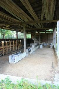 修善寺で過ごす週末。