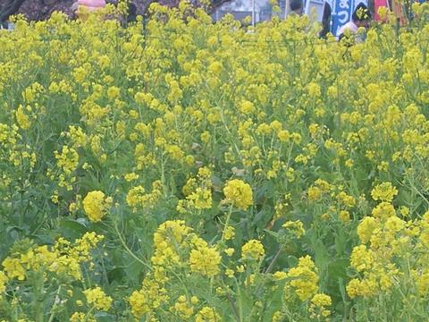 新春！伊豆ツーリング（前編）