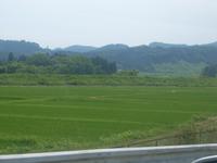 【旅風MT】吹上高原 キャンプツーリングレポ（6/26）