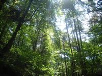 2010年夏★北海道キャンツー報告会in高ボッチ（2日目）