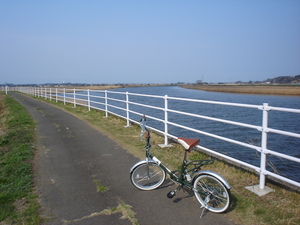 自転車に乗って
