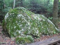 森への入口　其之壱
