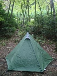 森への入口　其之参