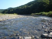 飛んで火に入る夏の虫　其之壱