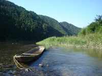 飛んで火に入る夏の虫　其之壱