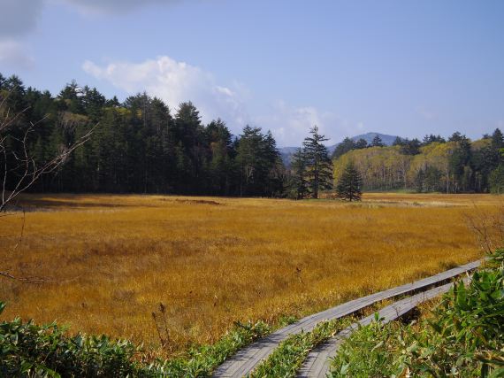 新境地 其之壱