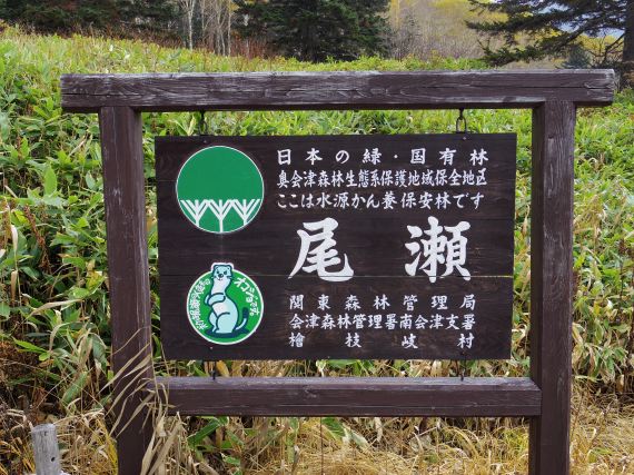 尾瀬