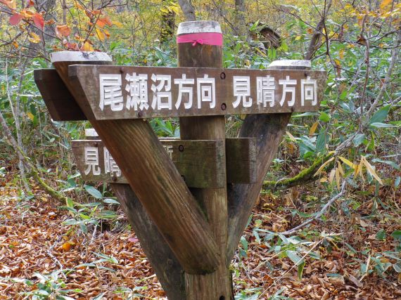 尾瀬