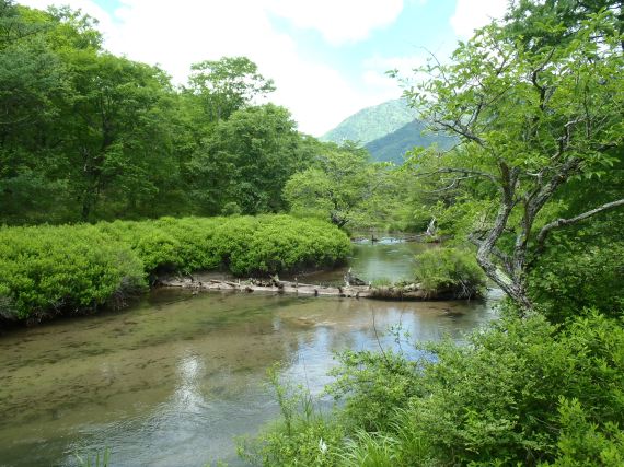 奥日光 戦場ヶ原