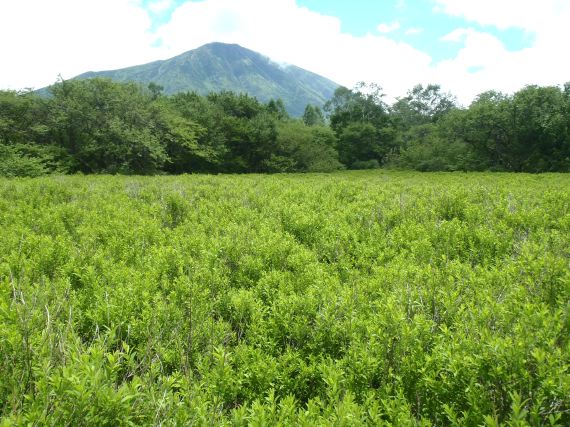 奥日光 戦場ヶ原