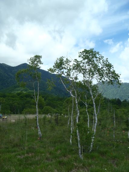 奥日光 戦場ヶ原