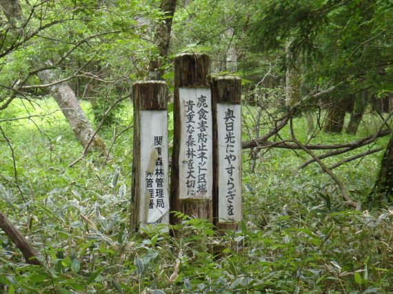 緑の戦場へ　後編