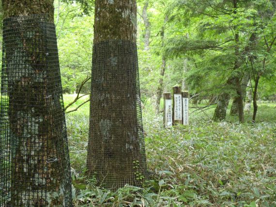 緑の戦場へ　後編