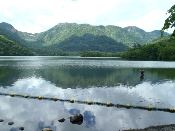 緑の戦場へ　後編