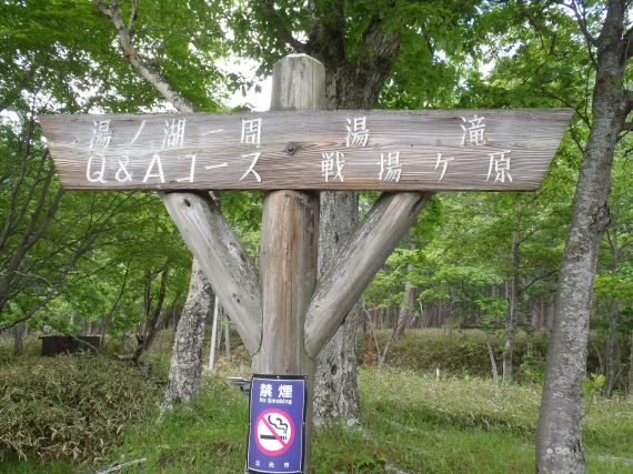 緑の戦場へ　後編