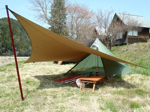 春は既に来ていた