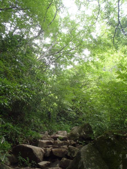 筑波嶺(つくばね)