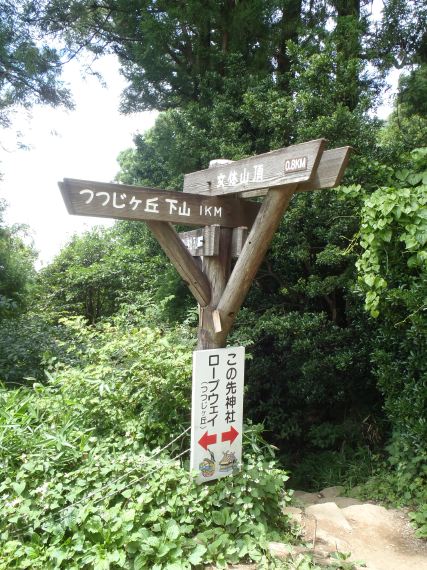 筑波嶺(つくばね)