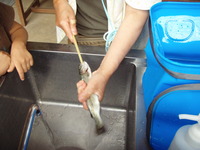６回目キャンプ