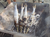 ６回目キャンプ