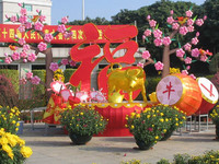一時帰国 2009/01/24 12:10:00