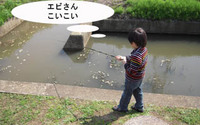テナガエビ釣り、ザリガニ釣り 2011/06/30 12:15:00
