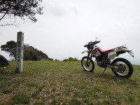 新林道（作業道？）発見！