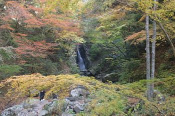 バイクで紅葉狩り♪