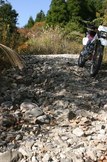 バイクで紅葉狩り♪