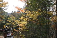 バイクで紅葉狩り♪
