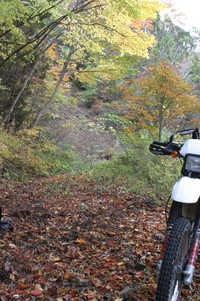 バイクで紅葉狩り♪