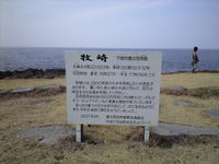 春風に乗って・・・