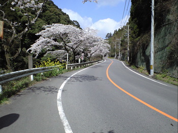 今年は早い！！